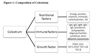 Composition of Colostrum