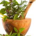 herbs-for-menopause