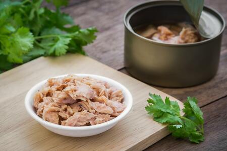 oily-fish-canned-tuna-in-a-bowl_450x300