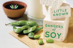 soya2